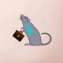 Krysa kancelářská barevná (Moňas)