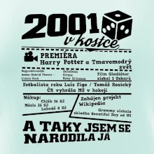 2001 v kostce