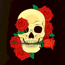 Lebka držící růži