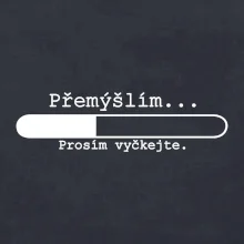 Přemýšlím