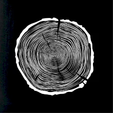 Letokruhy 80 bez věku