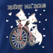 Kočky na kole
