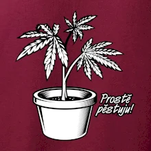 Konopi prostě pěstuju