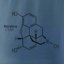Molekulární struktura Morfin