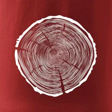 Letokruhy 95 bez věku