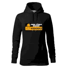 Jsem týhle stavby vedoucí