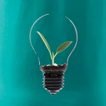 Žárovka květináč