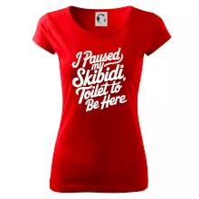 I Paused My Skibidi Toilet to be Here