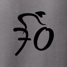 Cyklista slaví sedmdesátku (70)