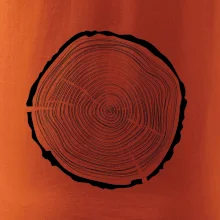 Letokruhy 45 bez věku