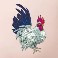 Kohout kreslený bílý