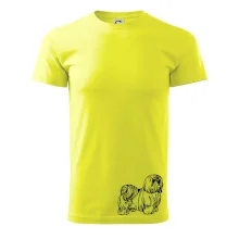 Shih-tzu - chlupatý