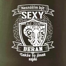 Nesnáším být tak skvělý - Beran