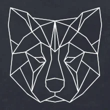 Akita Inu - Geometrie