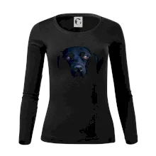 Černý Labrador fotka