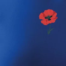 Vlčí mák kreslený na prsu