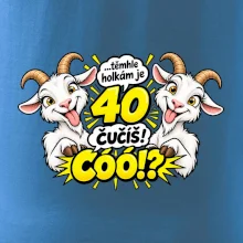 Těmhle holkám je 40, čučíš co?
