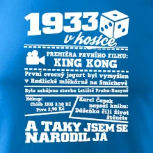 1933 v kostce