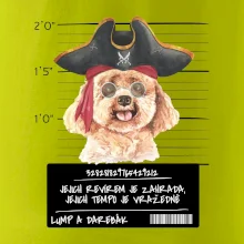 Lump a darebák pudl