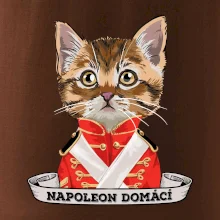 Napoleon domácí kočka