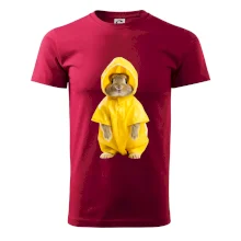 Králík v pláštěnce