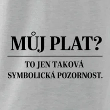 Můj plat? to jen taková symbolická pozornost