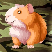 Morče - kreslené, bílo oranžové