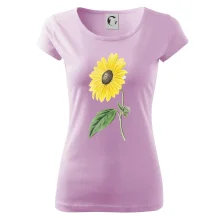 Slunečnice otočená