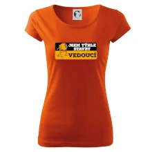 Jsem týhle stavby vedoucí