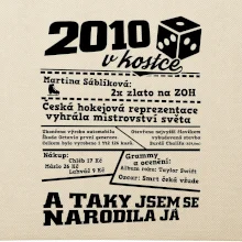 2010 v kostce