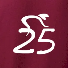 Cyklista slaví pětadvacítku (25)
