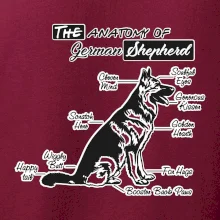 Německý ovčák - Anatomie
