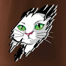 Kočka v roztrženém triku