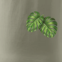 Monstera listy na prsu