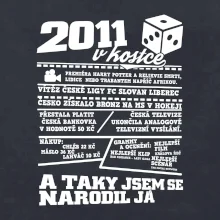 2011 v kostce