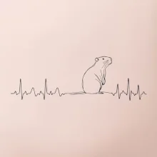 EKG křivka kapybara