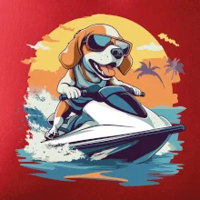 Bígl na vodním skútru