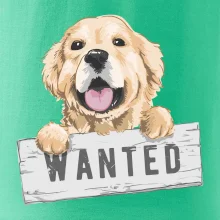 Zlatý retriever - štěně wanted