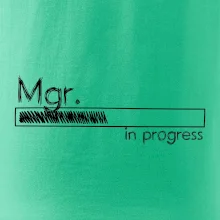 In progress titul Mgr.  magistr / magistra