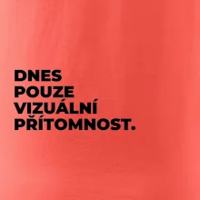 DNES POUZE VIZUÁLNÍ PŘÍTOMNOST.