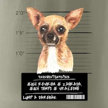 Lump a darebák čivava