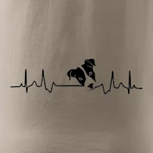 Jack Russell Terriér Ekg