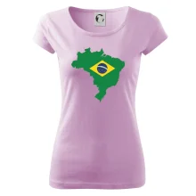 Brazílie vlajka v mapě