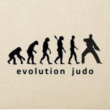 Judo evoluce - úder