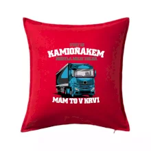 Stát se kamioňákem nebyla moje volba