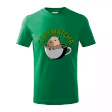 Capybara papymatcha