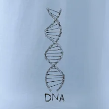 Cyklistovo DNA