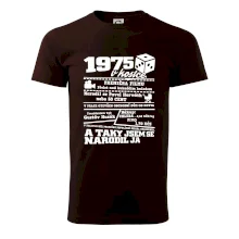 1975 v kostce