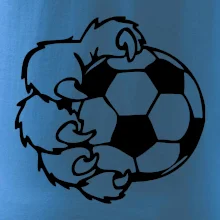 Medvědí tlapa fotbal