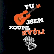 Tu kytaru jsem koupil kvůli tobě